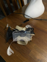 Load image into Gallery viewer, Stunning Cream & Black Fascinator FS176
