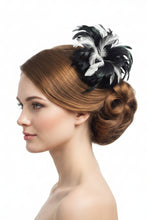 Load image into Gallery viewer, Stunning Black & Ivory Feather Suncatcher (FS086)