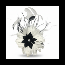 Load image into Gallery viewer, Stunning Ivory & Black Feather Fascinator (FS061)