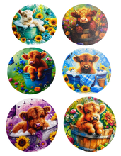 Load image into Gallery viewer, Highland Cow Wooden Coasters (6-Pack) CS75