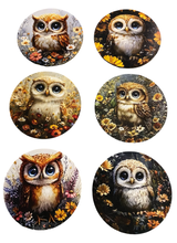 Load image into Gallery viewer, Owl Wooden Coasters (6-Pack) CS84