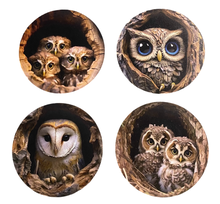 Load image into Gallery viewer, Owl Wooden Coasters (4-Pack) CS91