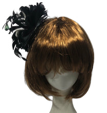 Load image into Gallery viewer, Stunning Black &amp; Ivory Feather Suncatcher        (FS086)
