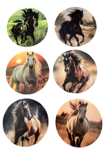 Load image into Gallery viewer, Horse Wooden Coasters (6-Pack)  CS16
