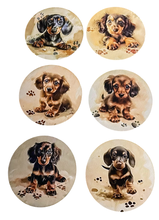 Load image into Gallery viewer, Dachshund Wooden Coasters (6-Pack)   CS59
