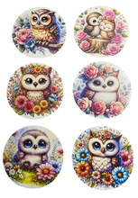 Load image into Gallery viewer, Owl Wooden Coasters (6-Pack)  CS87
