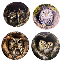 Load image into Gallery viewer, Owl Wooden Coasters (4-Pack)  CS90
